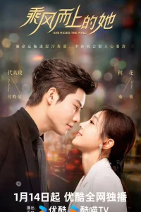 Вынужденная посадка в моем сердце (2025)