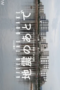 После толчка (2025)