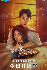 Выйти замуж за врага моего врага (2025)