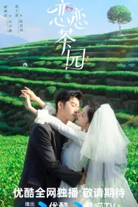 Любовь в чайном саду (2024)